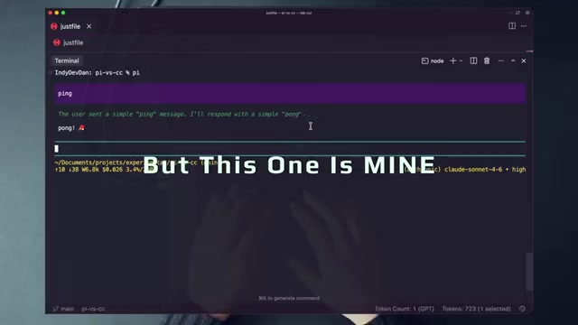 Pi, customized — "there are many coding agents, but this one is mine"