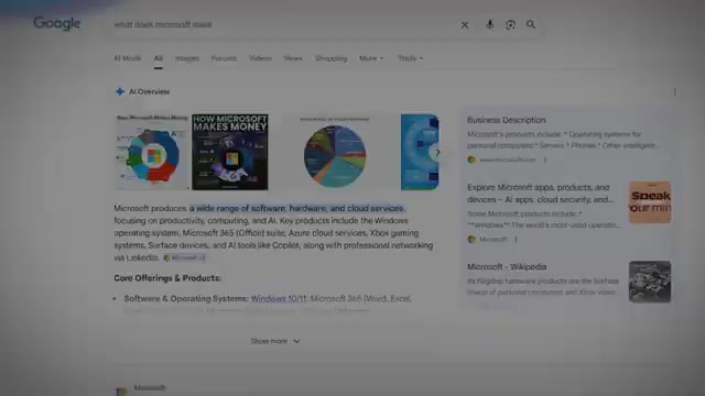 Action queries (e.g. "snow removal service") still need a click — AI can't do the job